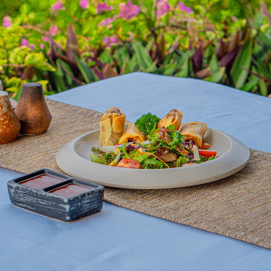 Vegetable Spring Roll